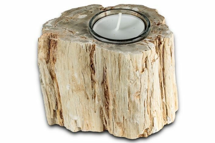 Polished Petrified Wood Candle Holder - Madagascar #337565